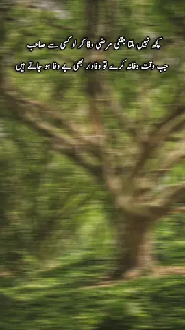 ❤️‍🩹🥹#trending #urdupoetry #foryoupage #poetrylover #viralvideo 