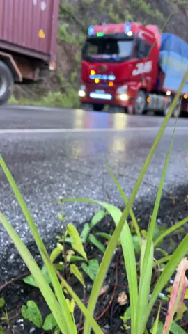 #ຫົວລາກຫຼວງພະບາງ🚚💸 #ຟິດ ກັບມາແລ້ວ🍌🐒