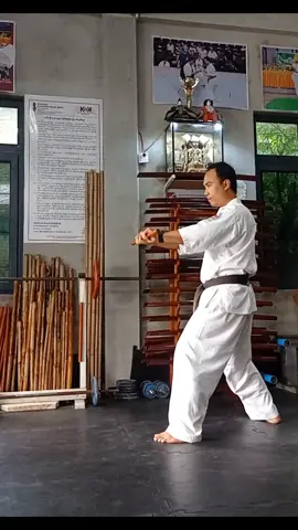 #kobujutsu  #Hanbo striking techniques  Hanbo Kihon Waza  #Demonstrate by Sensei Ye Aung 