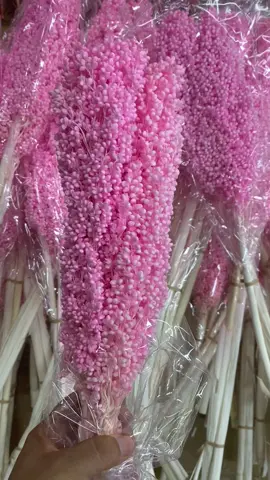 We are not selling products to you, but take natural beautiful things and happy life to you! Enjoy the nature together! #3hlink #Lavender #palmleaves #driedflowers #3hlinkflower #preservedflower #bohodecor #pampasgrass #hydrangea #homedecor #weddingdecoration #babybreath #handmadecrafts #hoteldecor #luxurydecor #flowerbouquet #flowerboxes #flowerbouquets #hydrangeas #christmasdecor #christmasflowers #preservedtree #witchbroom #christmas #driedflowerwholesale #cassiacinnamon #amarantus #willowbranch #minihaybales #decorhaybales 