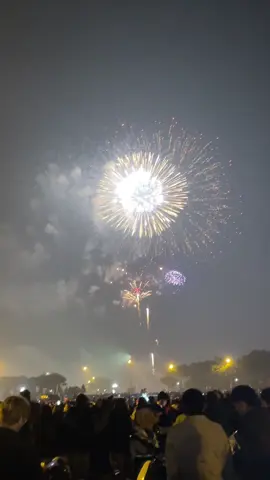 nôn tết quaaaa#xuhuong #tết2026🌸🌸🧧🎆🎇 