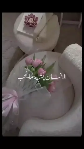 الانـسان يُـشبه مايحُـب . 🌷🩷