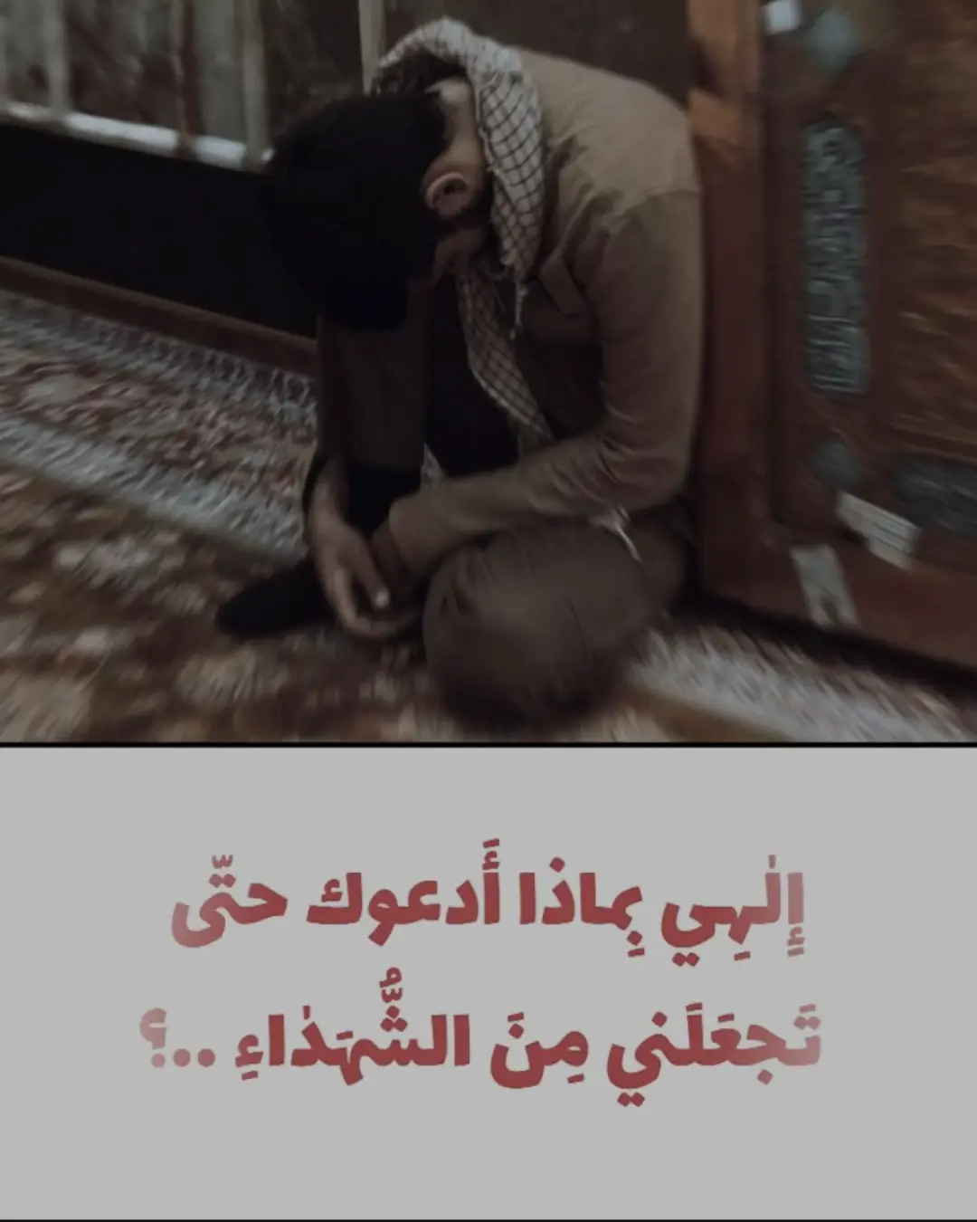 #شهداء #فـِدائـيّون♥️🌱 #fyp 