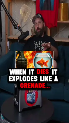 @John Magz comedy #BarcastComedy #wouldyourather #comedypodcast 