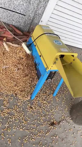 Máy Tách Hạt Ngô Nhiều Bắp, Máy Tẽ Ngô,Khung Tách Hạt Ngô #maytachhatngo #dienmay #shopgiare #xuhuong #tienich @🔥SHOP GIÁ RẺ 🔥 