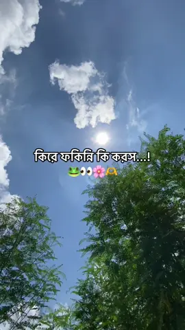 কিরে ফকিন্নি কি করস...!🐸👀🌸🫶#বান্ছারামপুরের_ছেলে #foryou #foryoupage #fyp #vairal 