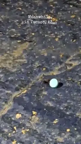 hope it's not illegal to post this but damn 🤣