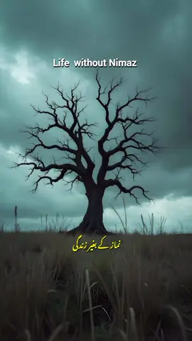 With Nimaz 🫰🏻🫀  #Respot #follow #foryoupage #viral_video #islamic_video 