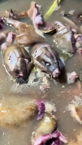 Ndangg sat set #angkringanextreamkudus #kudus #fyp #angkringan #garangan 