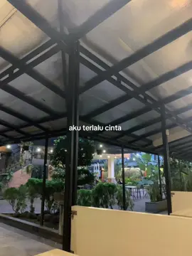 Haii