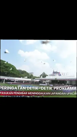 hindia juga wo? #hindia #doves25onblankcanvas 