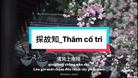 P11 | 探故知_Thăm cố tri #pinyin #nhactrungquoc #探故知 #thamcotri #trending     