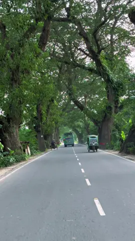 যত দূরেই যাই এই রাস্তা আমাকে তার কাছে টেনে আনে 🌳💚         #jashore #benapole #Home #bus #greenline #kuril #flyover #rain #asmr #dhaka #bashundhara #drive #100feet #park #gulshan #night #uttara #diyabari #sky #cloud #street #weather #badda #hatirjheel #thunderstorm #rikshaw #road #gulshan #boat #banani #plane #tourvideo #300feet #purbachal #broken #jamuna_future_park #বৃষ্টি #বসুন্ধরা #হাতিরঝিল #sunset #যশোর #benapole #padmabridge #bdbuslover #পদ্মাসেতু #ড্রোনশট #airport #biman #cloudy #jbl #dji #northsouth #colorgrading #slowmotion #shakibian #sah #metrorail #iphonevideo #ভাইরাল #ফরইউ #foryou #fyp #trending #hindisong #reels #aiub #nsu #sylhet #sadapathor #সাদাপাথর #ভোলাগঞ্জ #bholaganj #সিলেট #dji #mavic #drone #undermetro #tiktokbangladesh #explorepage #capcut #viral #cinematic #asif #asif757575 