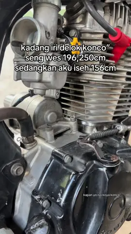 kapan yo#mpgank🤙 #perimusgank🚀 #fyp #4u #megapero_herex 