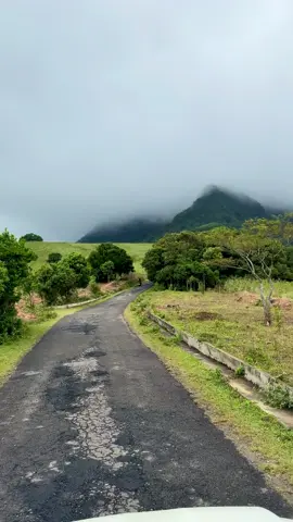 🍃 #riverston #srilanka #travel 
