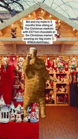 @Nicky 6 strings 🎸 it’s to hot, wants to wear our big coats now #christmas #christmasmarket #toohot #bigcoat #summerisover 