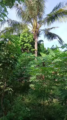 Saatnya rakyat bersuara