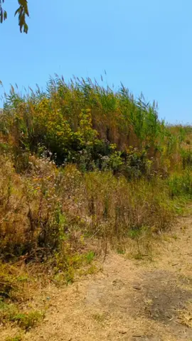 Что ещё делать на выходных.. 