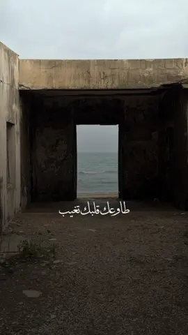 #ميحد #طاوعك_قلبك #fy #viral 