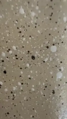 When Phill ends things with Mariana! #kountrywayne #comedytiktok #jesus #comedian #videoviral #vairal