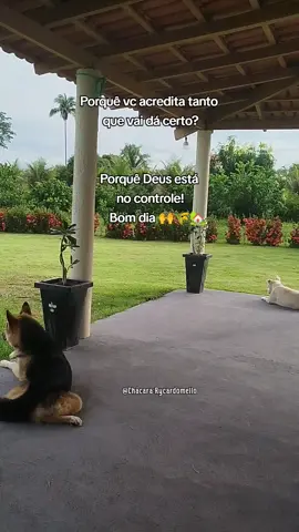 #Bomdia #deusnocontrole #Deus #Bondedovaqueiro 