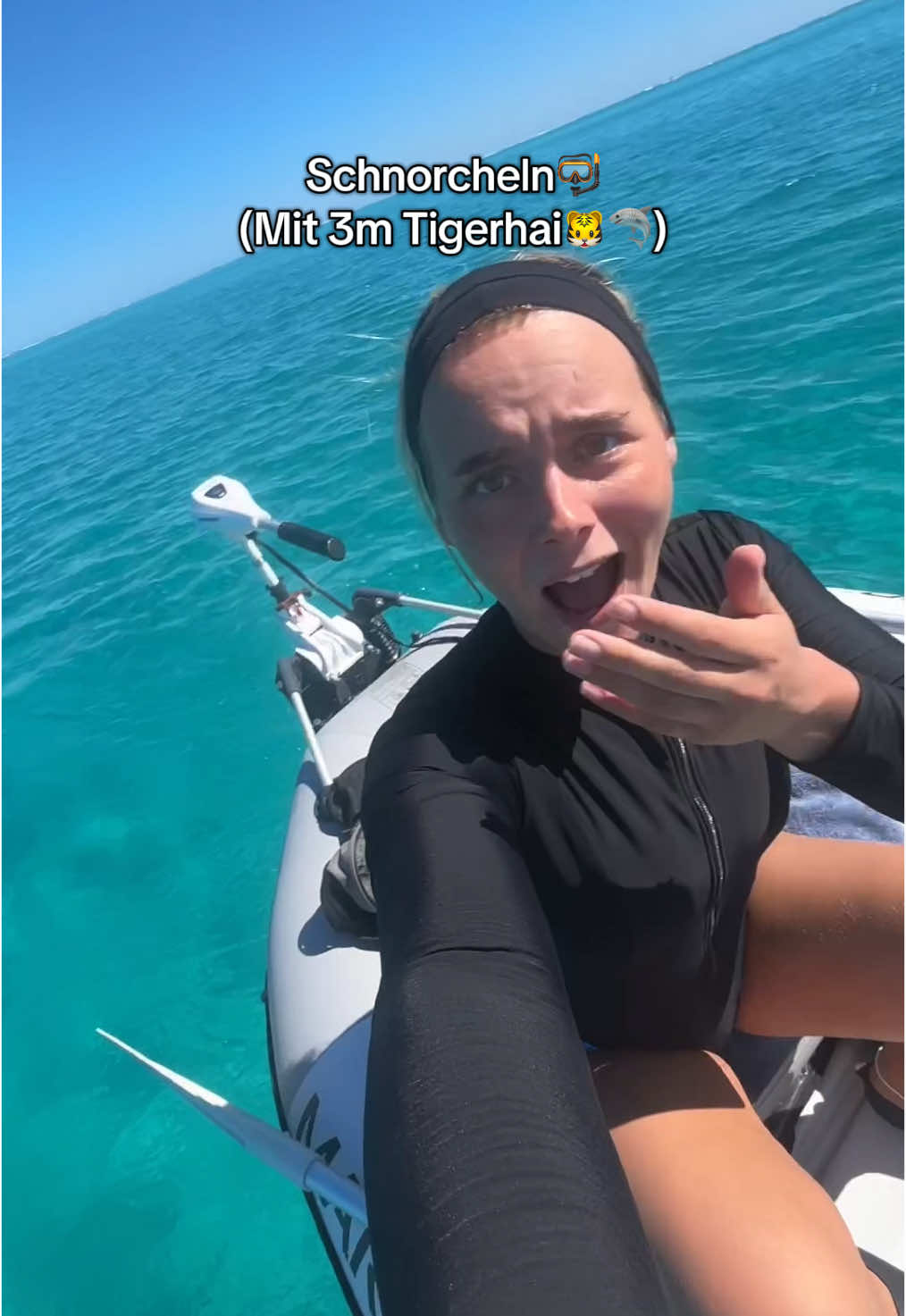 Omg wie würdet ihr reagieren?? #whvaustralia bitte macht das auf garkeinen Fall nach! Haie, besonders große Haie sind immer noch Raubtiere und wenn man nicht weiß wie man sich ihnen gegenüber zu verhalten hat, kann das auch echt schief gehen! Unseren Tigerhai haben wir erst mal ganz lange beobachtet und geschaut wie er drauf ist und uns dann mit diesen “Analysen” plus dem Wissen, dass die Tigerhaie hier in coral bay schon als “Lokals” angesehen werden weil die hier immer sind und immer sehr entspannt (auch gegenüber Menschen) sind, dazu entschlossen ins Wasser zu gehen🤍🦈