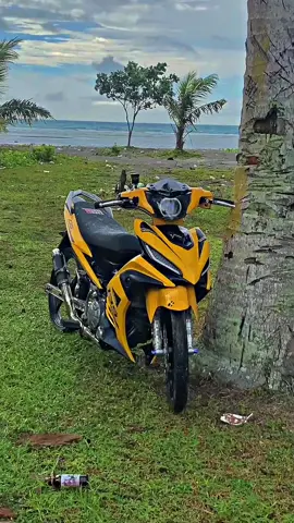 gpunya bahan🤧 #135malaysia #bumblebee⚡ #malaystyle🇲🇾🇻🇳 