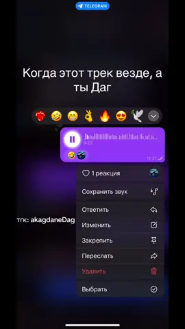 Отправляйте жинкиним львам 🤣 #dagestan #fyp 
