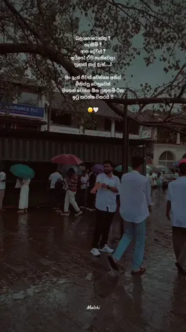 🤍! #fypシ #fyppp #fypシ゚viral #trending #kandy #views #foryou #foryoupage #nostalgic #malshi #🥀💔