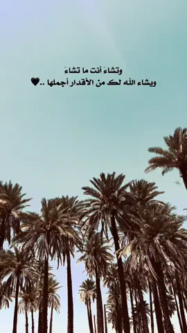 يشاء الله لك من الأقدار اجملها ..🤎 #عباراتكم_الفخمه📿📌 #تصويري_احترافي_الاجواء👌🏻🕊😴 #عباراتكم_اصمم_عليهآ #الشعب_الصيني_ماله_حل😂😂 #لايك_متابعه_اكسبلور 
