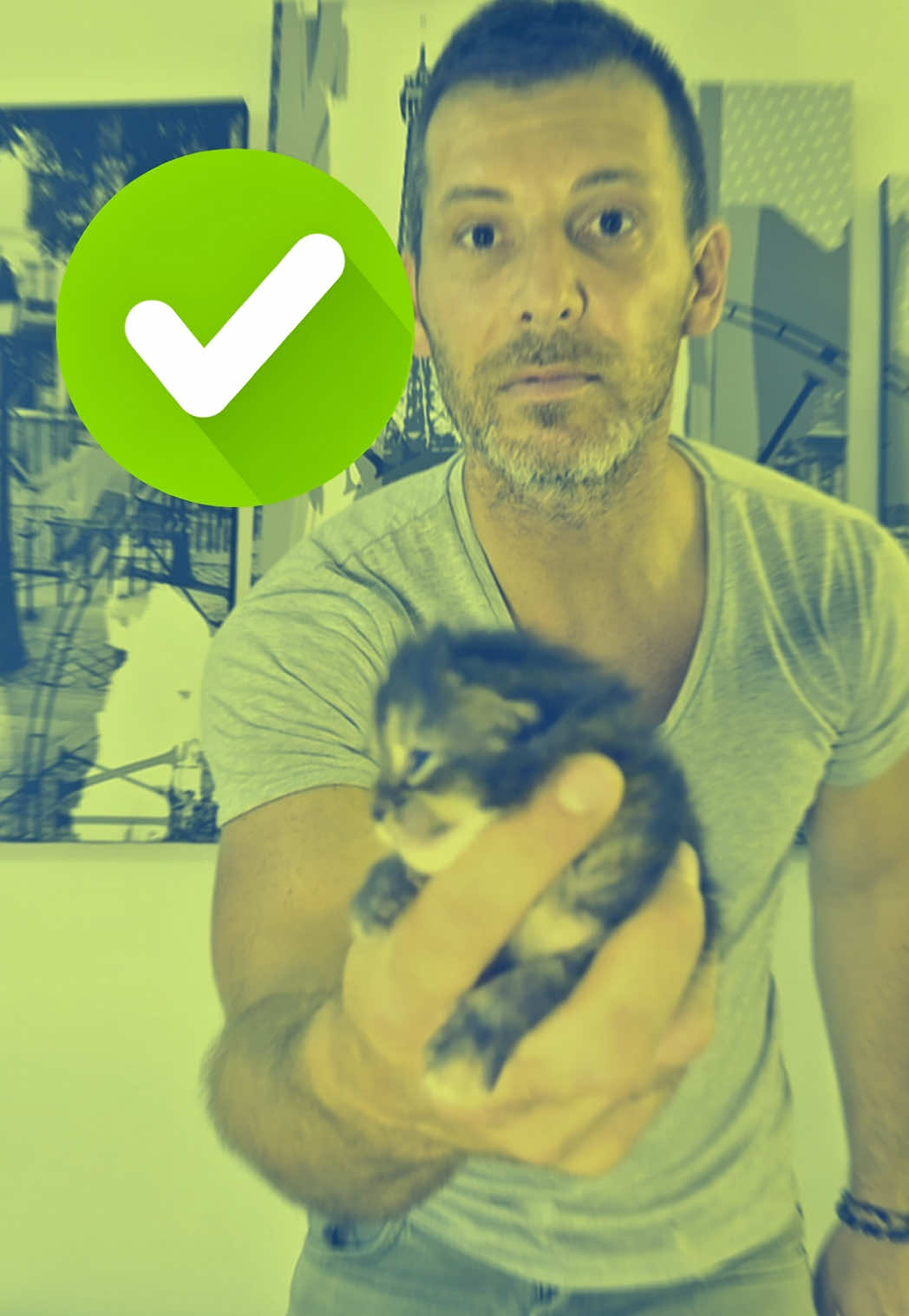 Comment porter son chaton ?? #chat   