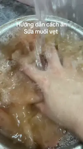 Hướng dẫn cách ăn  Sứa muối vẹt Nhung Mẹ Beo ạ #sứadonhungmebeo #sứanhungmebeo #nhungmebeo #tiemsuanhungmebeo 