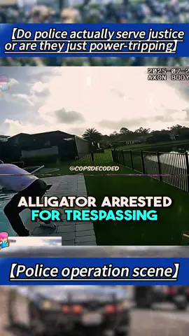 How to view the law enforcement behavior of the police#PoliceAction #tiktok #cops #bodycam #poilce #drunk #bodycamhub #arrested #cops #police #thebodycamhub #fyp #foryoupage #breakingnews #news 