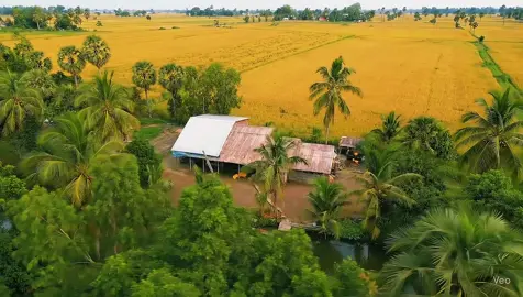 Ai nhớ quê không? #chill #lofi #canhqueyenbinh #tamtrang #68kiengiang 