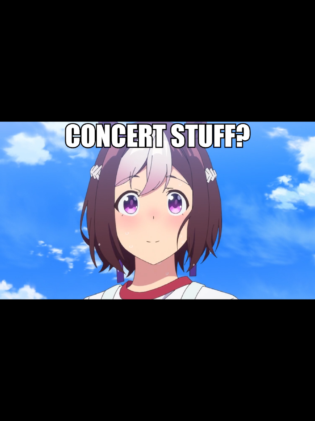 Umamusume Concerts in a nutshell #umamusume #umamusumeprettyderby #goldship #specialweek #silencesuzuka 