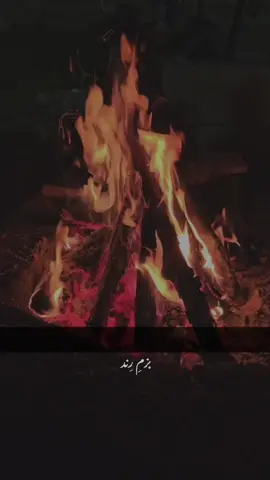 شیخ صاحب کا ایمان بِک ہی گیا 😉 #foryou #nusratfatehalikhan #qawwali #foryoupage #500k 