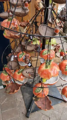 #foryoupage  #AsanZindgi #Greengarden #ma sha Allah #🤩🤩🤩🤩🤩🤩🤩🤩🤩🤩🤩🤩🤩🤩🤩 