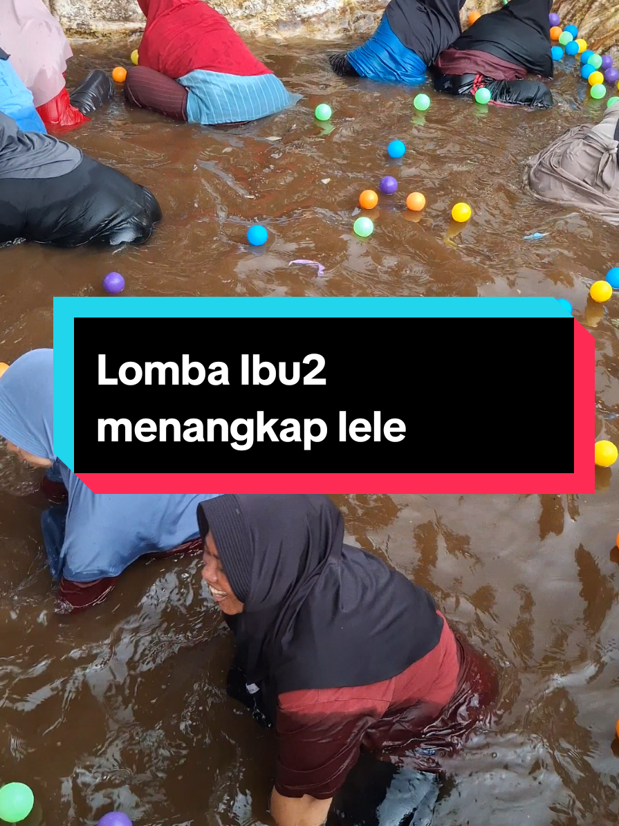 Lomba menangkap ikan lele.. #fyp #banyumas24jam #banyumas #baturraden #lomba17agustus 