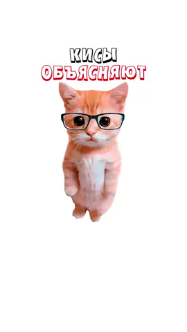 Как понять свою девушку? Кисы объясняют 😻