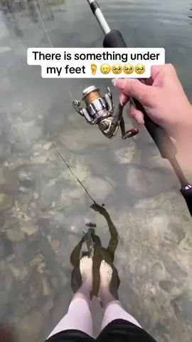 So cute#fish#fishing #boat #bassfishing#gofishing #reellife #Outdoors #forupage #viral #fyp #bass #funnyvideos 