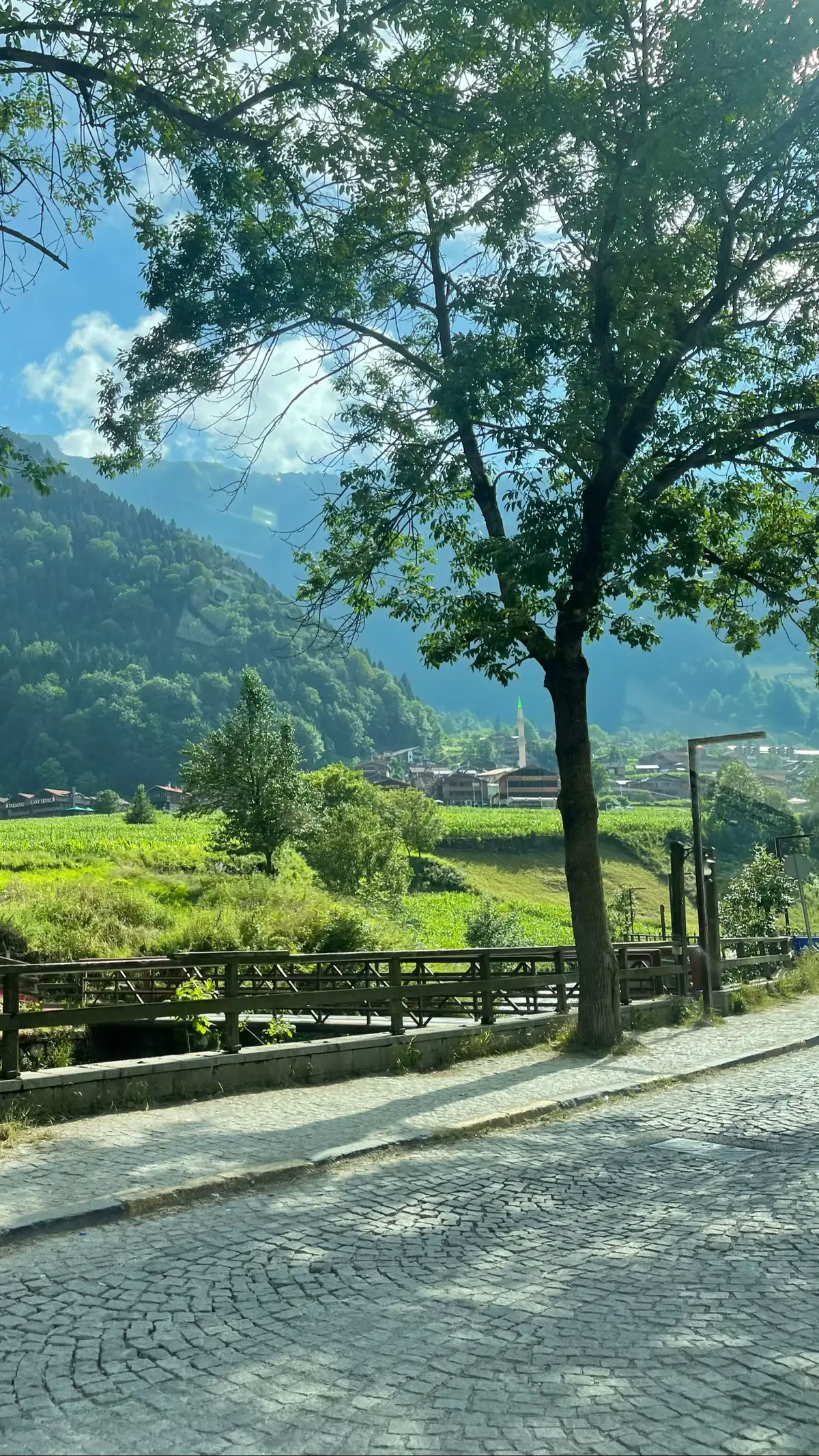 #اكسبلور #ترند #trend #الشعب_الصيني_ماله_حل😂😂 