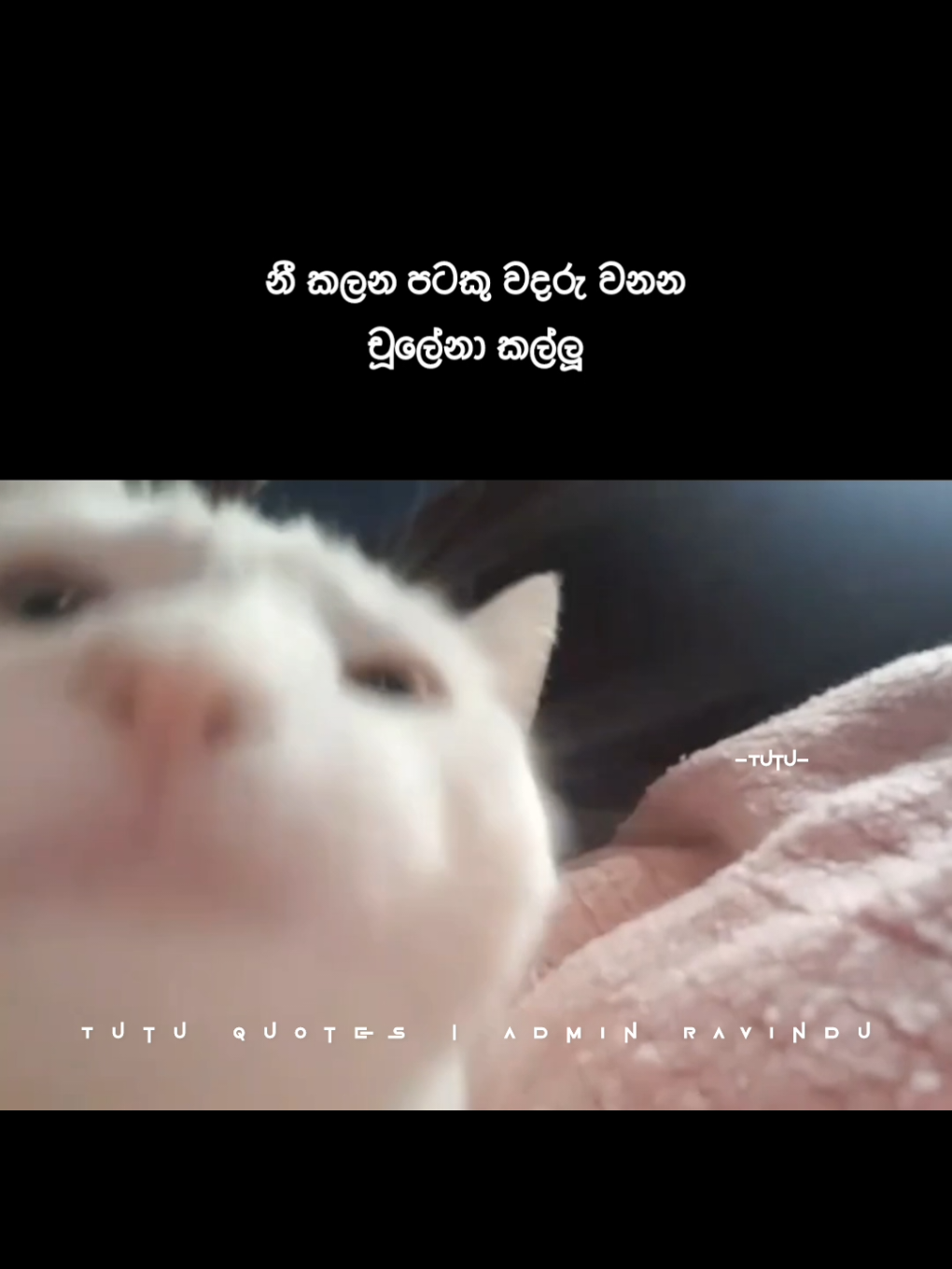 😌 . . . #වට්සැප්_ස්ටේට්ස්👀🥀_වදන්_ඕන_අය_❤👈🏻 #ස්ටේටස්_වදන් #sinhala_quotes #whatsappstatusvideo #whatsappstatus #statusvideo #tutu____bea #tutu____status #tiktok_tutu____bea #viral #fyp #t_u_t_u_official😇 #the_black_eagle_family🦅♥️ #like #share #වදන් #සිංහල_වදන් #foryoupage
