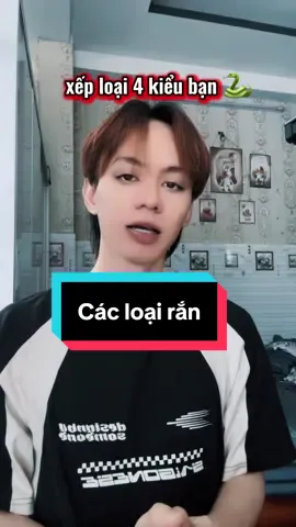 Xếp loại 4 kiểu bạn bè theo các loài rắn 🐍 #hoanghieptiktok #DCGR 
