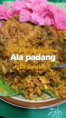 Ini best banget apalg mie nya 😋😋😋 #promomakanmerdeka #kuliner #thefoodshunter #kulinerjakartatimur #nasigorengpadang 