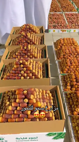 #القصيم #الدمام_الخبر #الرياض #مكة #تمور 