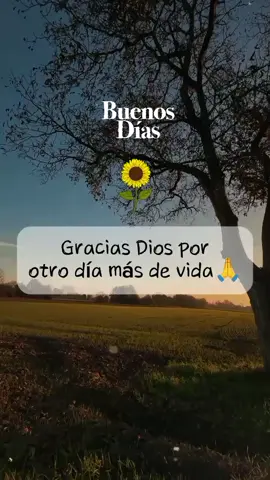 Buenos días 🌻 gracias Dios por un nuevo día.#nuevodia #amanecer 