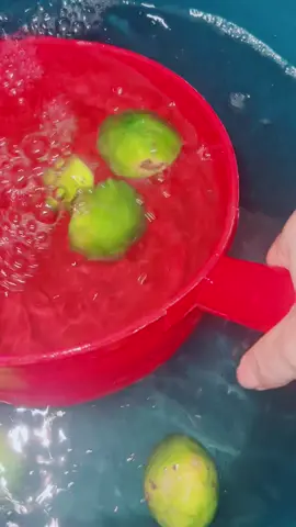 Từ ngày áp dụng làm mẹo tắm chanh ,với e mọi việc đều nhẹ nhàng suôn sẻ tình thần cũng năng lượng tích cực lắm ạ #chiase #thầyboisoma #fyp #mẹo #mayman 