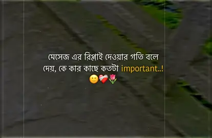 ho😅#foryou #status #hanif_3t7 #bdtiktokofficial 