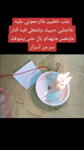 #دانمارك #دنمارك #دنمارك🇩🇰 #دنمارك_كوبنهاكن #دنمارك 