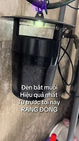 Đèn bắt muỗi treo nơi tối nhất, treo cao ngang ngực , qua 2-3 đêm bạn sẽ có món muỗi kho tiêu nha #denbatmuoi #viral #viralvideo 